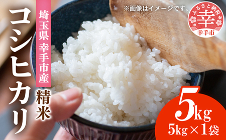 ʌKsY_@BZ^[̃RVqJ5kg -   H 