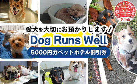 ȕhvybgzehp - `Pbg ybgze h  aT[rX   Dog Runs Well hbOYEF ʌ Ks