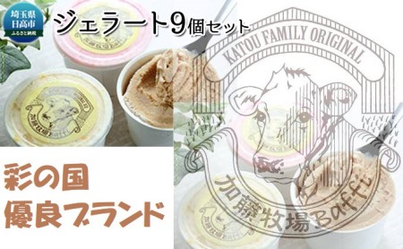 [彩の国優良ブランド]加藤牧場 ノンホモ低温殺菌牛乳を使用した甘みとコクが感じられるジェラート9個セット スイーツ お菓子