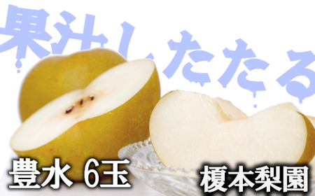 [先行予約]果汁したたる榎本梨園自慢の完熟梨 豊水6玉(3L〜4L)[2025年9月上旬より発送] [11246-0062]