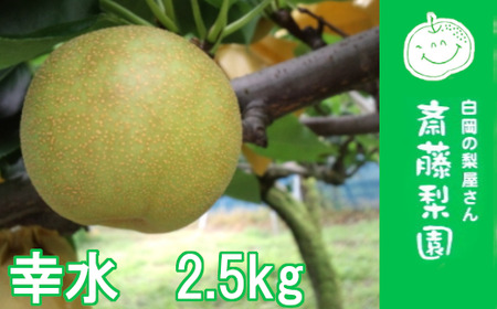 白岡・下野田 斎藤さんちの美味しい梨 幸水 約2.5kg [11246-0063]