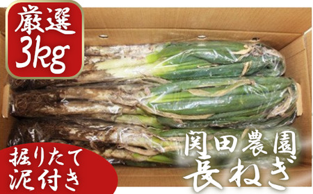 関田農園の「厳選 長ねぎ(泥付き)」箱3kg [11246-0114]