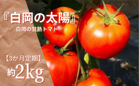 [3か月定期便]甘熟トマト『白岡の太陽』約2kg×3か月 [11246-0124]