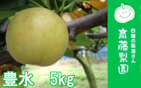 �y2026�N������ ��s�\��z�����E����c �֓����񂿂̔����������@�L���@��5kg�@�y11246-0362�z