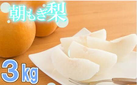 100年の歴史！！　アライファームの「朝もぎ梨」幸水・豊水・あきづき 約3kg　【11246-0147】
