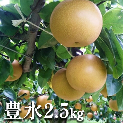 彩りファームの完熟梨 豊水 約2.5kg [11246-0150]
