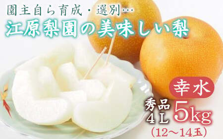 江原梨園の美味しい梨　約5kg　幸水　【11246-0381】