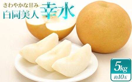 小川梨園の幸水 5kg [11246-0274]