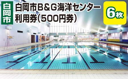 白岡市B&G海洋センター利用券(500円券)6枚 [11246-0272]