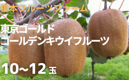 東京ゴールド(黄色) 10〜12玉 [11246-0282]
