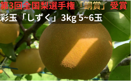 [2026年発送分 先行予約]アルファイノベーション株式会社 彩玉 3kg 5~6玉 「しずく」 [11246-0364]全国梨選手権 銅賞受賞