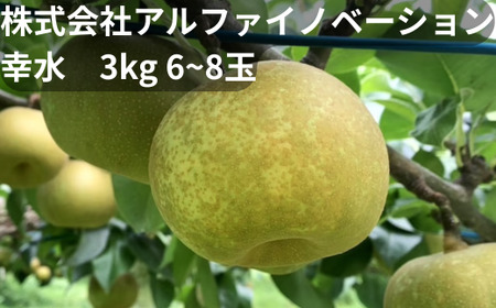 [2026年発送分 先行予約]アルファイノベーション株式会社 幸水 3kg 6~8玉[11246-0365]