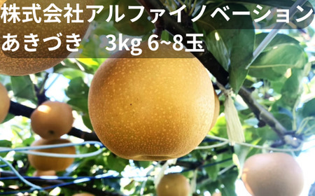 [2026年発送分 先行予約]アルファイノベーション株式会社 あきづき 3kg 6~8玉[11246-0366]