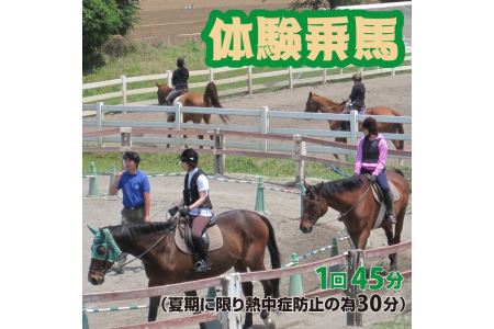 体験乗馬　メンバー体験コース