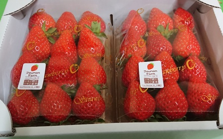 ys\zyQOQUNP{`R{ɐz E݁@{ 300×4pbN