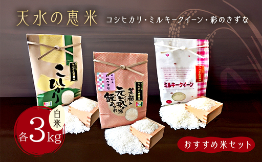 天水の恵米「コシヒカリ・ミルキークイーン・彩のきずな」白米3kgずつおすすめ米セット お米