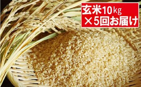 特別栽培米「コシヒカリ」玄米50kg(10kg×5回のお届け)
