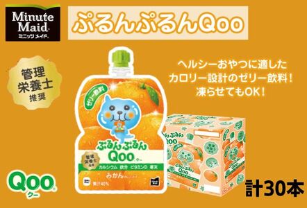 ミニッツメイドぷるんぷるんQooの返礼品 検索結果 | ふるさと納税