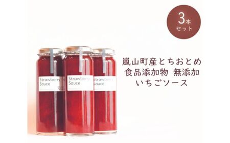 埼玉県嵐山町産いちご使用 特製いちごソース 3本セット