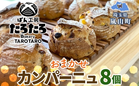 Jp[j 8 Zbg ς p   _61 ӂ n y Z F   H n[hn ςH[ 낽 ʌ R