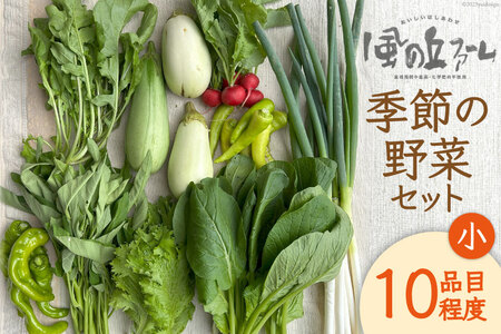 野菜セット 10種 詰め合わせ [風の丘ファーム 埼玉県 小川町 205] 野菜 やさい