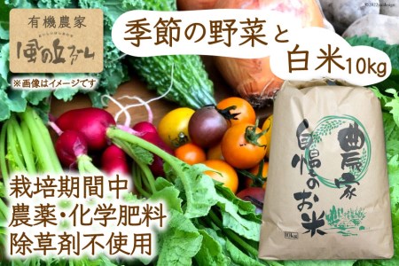 [季節により常温11~3・冷蔵4~10]有機農家の季節の野菜と白米10kgのセット / 風の丘ファーム / 埼玉県 小川町 [020] 野菜 やさい 米 お米 こめ コメ 精米 白米 セット 詰め合わせ