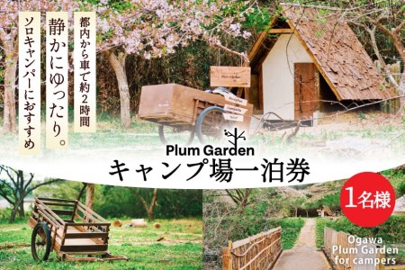 〜ソロキャンパーにおすすめ〜キャンプ場1名様一泊券[Ogawa Plum Garden for campers][埼玉県小川町]