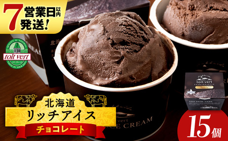 リッチアイスクリーム カカオ香るほどよい甘さのチョコレート 15個セット（100ml）アイス スイーツ おやつ 冷凍 食べ比べ
