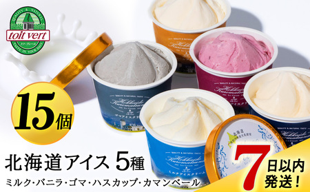 【7営業日以内発送】北海道黒松内のこだわり最高級！トワ・ヴェールアイスクリーム15個セット(全5種×各3個)工場直送 アイス ハスカップ 生乳 アイスクリーム 北海道ふるさと納税