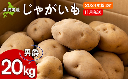 【北海道黒松内産】2024年秋出荷じゃがいも（男爵）20kg 農家直送（11月発送）ジャガイモ 芋 男爵いも 北海道 予約受付