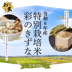 [令和6年産]埼玉県比企郡吉見町産 特別栽培米彩のきずな [玄米] 10kg