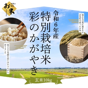 [令和6年産]埼玉県比企郡吉見町産 特別栽培米彩のかがやき [玄米] 10kg