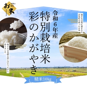 [令和6年産]埼玉県比企郡吉見町産 特別栽培米彩のかがやき [精米] 10kg