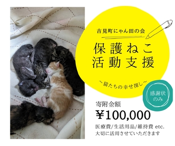 【100,000円】保護猫活動支援～望まれず生まれる命を無くし、行き場を失った猫たちの幸せ探し～