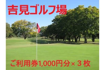 吉見ゴルフ場　ご利用券　１，０００円分×３枚