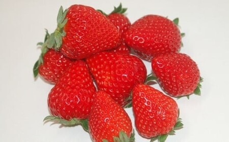 いちご やよい姫 300g×2パック | イチゴ いちご 横瀬町