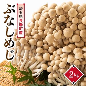 ぶなしめじ　2kg【配送不可地域：離島・北海道・沖縄県・中国・四国・九州】【1296449】