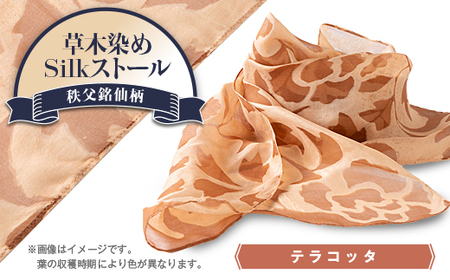 草木染めSilkストール [長瀞びわ染めテラコッタ][秩父銘仙柄]
