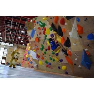 クライミングパーク神怡舘利用券(大人60歳未満)×11枚セット