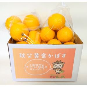 ڂ2kg@~̓Yiyƒpzy1566419z