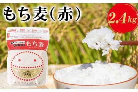埼玉県産もち麦(赤)2.4kg(800g×3袋) [No.173]
