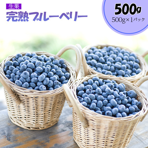 完熟ブルーベリー500g(生果)[期間限定][ブルーベリー王国美里町からお届け!] [No.174]