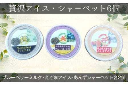 [美里町特産品使用]贅沢アイス・シャーベット6個セット(3種類:えごま・ブルーベリー&えごま・あんず) [No.012]
