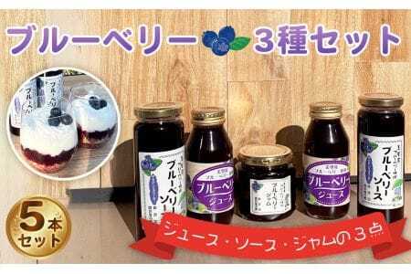ブルーベリー加工品フルセット [No.228]