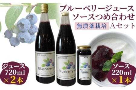 (Aセット)ブルーベリージュース・ソースつめ合わせ[飯野果樹園 当園自慢の無農薬栽培!] [No.148]