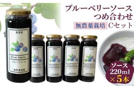 (Cセット)ブルーベリーソースつめ合わせ[飯野果樹園 当園自慢の無農薬栽培!] [No.151]