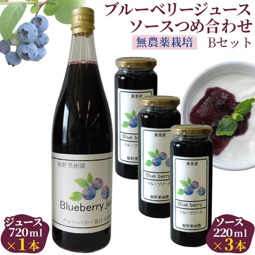 （Ｂセット）ブルーベリージュース・ソースつめ合わせ【飯野果樹園 当園自慢の無農薬栽培！】  [No.152]