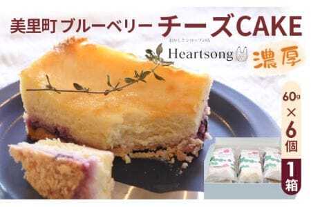 美里町ブルーベリーチーズCAKE 1箱(60g×6個) [No.190]