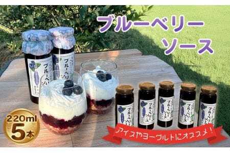 ブルーベリーソース(220ml)5本セット [No.229]