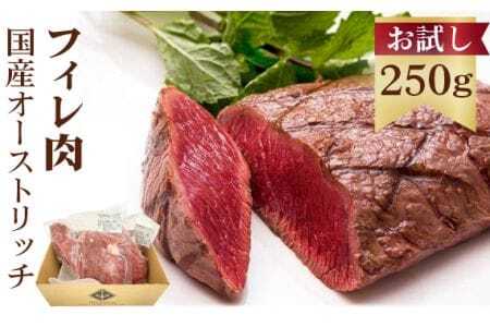 国産オーストリッチお試しフィレ肉250g [No.023]